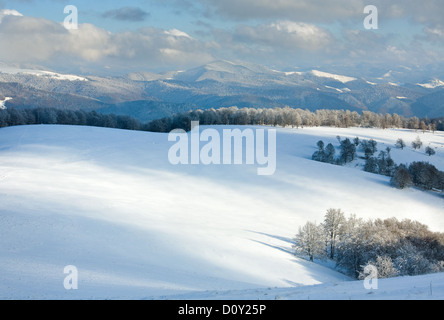 First winter snow and mountain beech forest Stock Photo