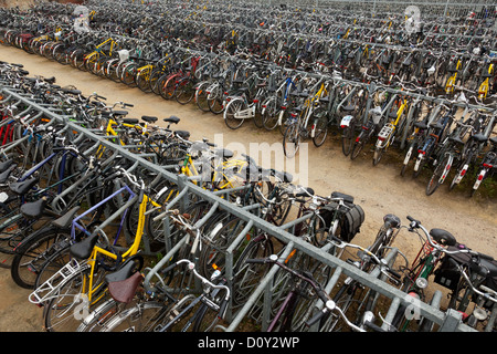 Communal bicycle rack, Ghent, Belgium Stock Photo
