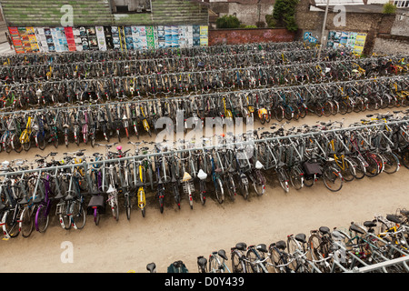 Communal bicycle rack, Ghent, Belgium Stock Photo