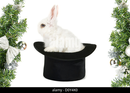 rabbit symbol of 2011 Stock Photo