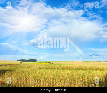 Rainbow, sunshine and summer field. Stock Photo