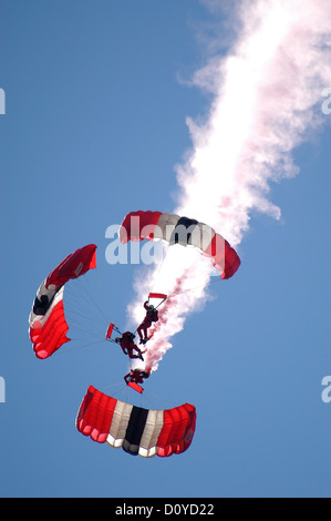 Red Devils Parachute Team in Action Stock Photo