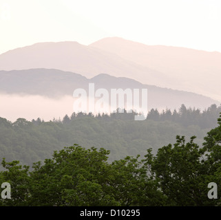 Dawn mist over the Mawddach Estuary, Snowdonia National Park, North Wales, UK Stock Photo