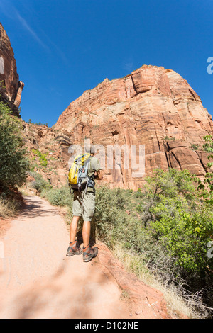 Young man / hiker wearing convertible pants, green shirt, hiking boots, yellow backpack looking up at the mountain Stock Photo