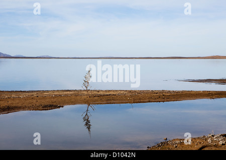 Dayet Srji  Lake near Merzouga. The Sahara Desert, Morocco. Stock Photo