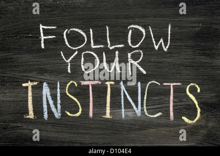 follow your instincts phrase handwritten on blackboard Stock Photo