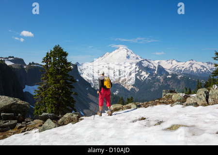 hiker in Mt. Baker Recreation Area,Washington,USA Stock Photo