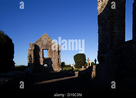 The western gabled wall in the ruins of 13th Century Newtown Cathedral, with Trim Castle visible through the door, Trim, County Meath, Ireland Stock Photo