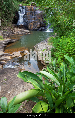 Waterfall on Sri Lanka,Horton Place Stock Photo