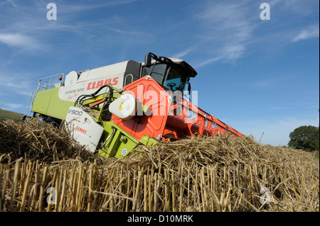 Combine harvesting in Hampshire, England, with a CLAAS Lexion 570 Terra-Trac with V900 Auto Contour Header Stock Photo