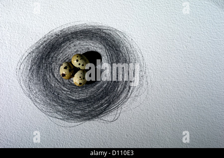 Overhead view of three bird's egg in a nest. Stock Photo