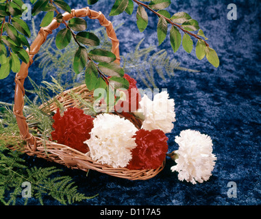 1980s ARRANGEMENT OF RED AND WHITE CARNATIONS IN BASKET Stock Photo