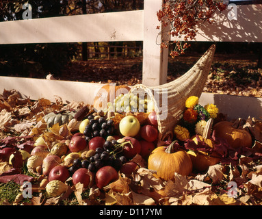 1960s AUTUMN SCENIC WITH CORNUCOPIA BESIDE WOODEN FENCE Stock Photo