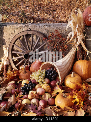 1970s HARVEST CORNUCOPIA FILLED WITH PUMPKINS GOURDS GRAPES APPLES Stock Photo