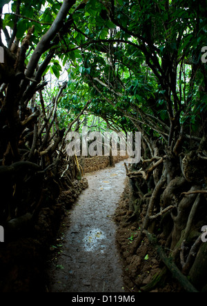 Alley In Konso Village, Omo Valley, Ethiopia Stock Photo