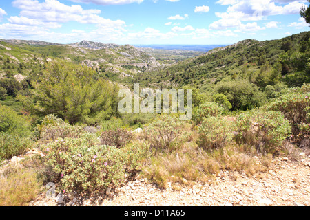 Habitats - Limestone hills with garrigue and flowering Cistus. Looking ...