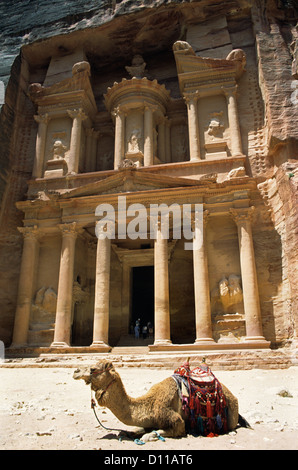 1990s CAMEL RESTING IN FRONT OF THE TREASURY CARVED INTO THE ROCK OF PETRA JORDAN