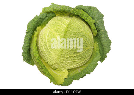 Savoy cabbage Stock Photo