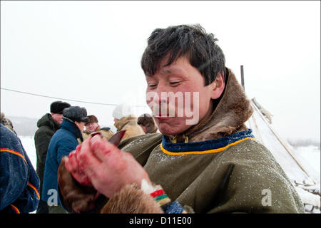 Feb. 28, 2004 - Russia - Nadymsky region of Yamalo-Nenets Autonomous Okrug,Russia.The Nentsy (also known as the Yurak) are one of five Samoyedic peoples, which also include the Entsy (Yenisei), Nganasany (Tavgi), Sel'kupy, and Kamas...Although many aspects of their lives have changed, the Nentsy still rely on their traditional way of life,which is hunting, reindeer herding, and fishing...Pictured: daily life of the nentsy.Eating meat. (Credit Image: © PhotoXpress/ZUMAPRESS.com) Stock Photo