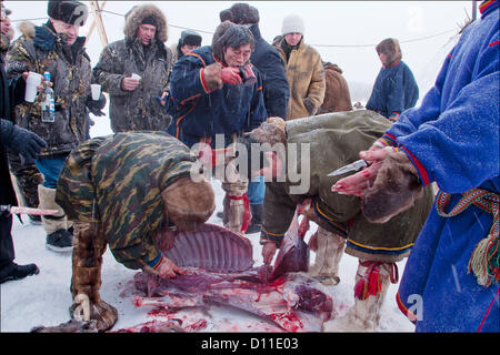 Feb. 28, 2004 - Russia - Nadymsky region of Yamalo-Nenets Autonomous Okrug,Russia.The Nentsy (also known as the Yurak) are one of five Samoyedic peoples, which also include the Entsy (Yenisei), Nganasany (Tavgi), Sel'kupy, and Kamas...Although many aspects of their lives have changed, the Nentsy still rely on their traditional way of life,which is hunting, reindeer herding, and fishing...Pictured: daily life of the nentsy. (Credit Image: © PhotoXpress/ZUMAPRESS.com) Stock Photo