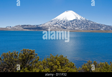 Mountain landscape with snow capped volcano Parinacota rising high above calm blue waters of Lake Chungara in northern Chile Stock Photo