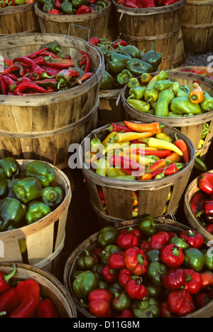 Variety of sweet and hot peppers at a farm stand Stock Photo - Alamy