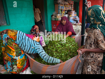 Awaday khat market near Harar Ethiopia Stock Photo - Alamy