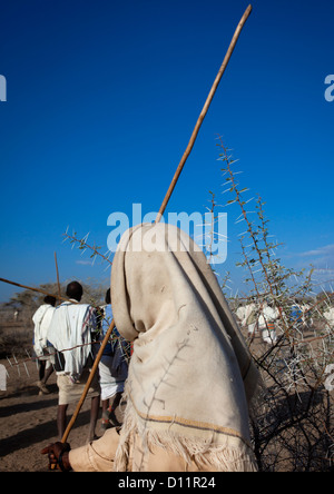 Karrayyu Tribe During Gadaaa Ceremony, Metahara, Ethiopia Stock Photo