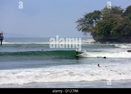Longboard surfer surfing a wave in Batu Karas on the south coast of Java. Stock Photo