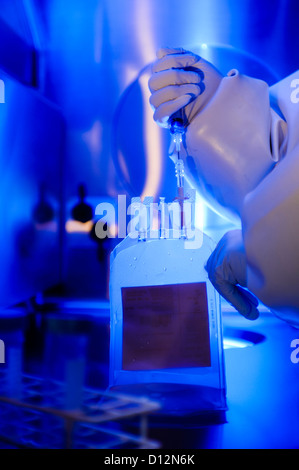 Scientist working with genetic human samples and cellular theraputics blood plasma bag in a sterile sealed fume cupboard Stock Photo
