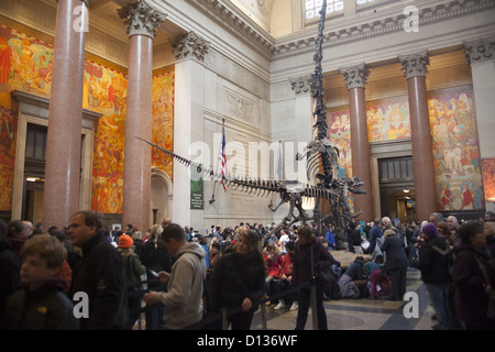 Entry Hall at the American Museum of Natural History on Central Park West in New York City. Stock Photo