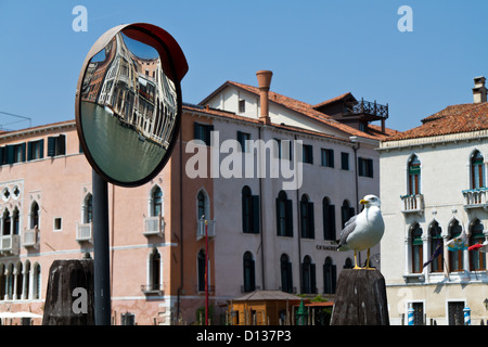 Seagull in Venice, Italy Stock Photo