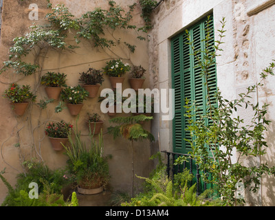 Green French balcony doors, potted plants on wall, a terracotta coloured house in Valldemossa / Valldemosa Majorca Stock Photo