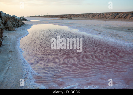 Horizon view of pink colored salt lake the Chott el Jerid in central Tunisia, Africa. Stock Photo