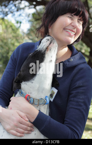 A happy volunteer was kissed by the dog, available for adoption Stock Photo