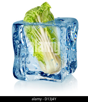 Ice cube and chinese cabbage isolated on a white background Stock Photo