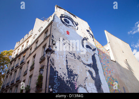 Jeff Aerosol's commissioned work of graffiti art on the side of a building adjacent to the Pompidou Centre, Paris, France Stock Photo