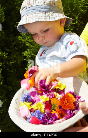 Baby playing with basket of flowers Stock Photo
