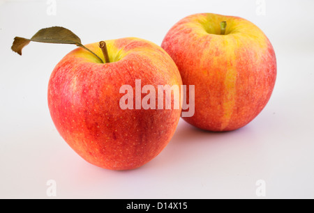 Two apples on white background Stock Photo