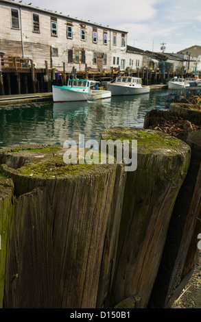 USA, Maine, Portland, Fishing boats in harbor Stock Photo