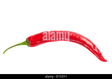 Red pepper photo on the white background Stock Photo