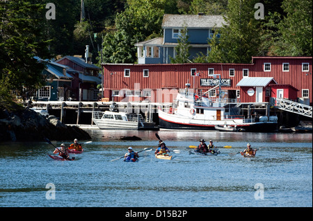 Telegraph Cove, located in Vancouver Island, British Columbia, Canada, is a major hub for whale watching and sea kayaking. Stock Photo