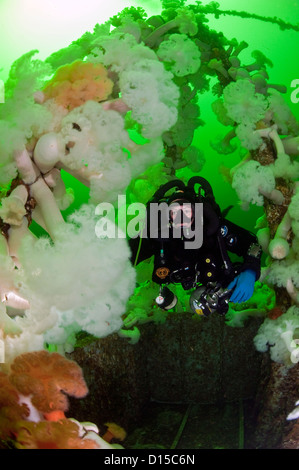 The wreck of the HMCS Saskatchewan is a popular destination for scuba divers in Nanaimo, Vancouver Island, British Columbia. Stock Photo