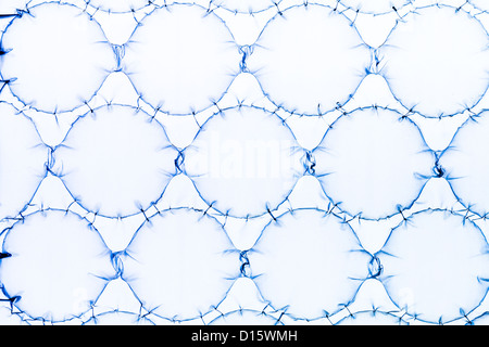Bubble wrap Stock Photo