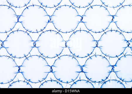 Bubble wrap Stock Photo