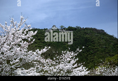 Iwakuni Castle in Yamaguchi, Japan Stock Photo: 93402555 - Alamy