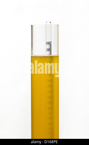 Hydrometer measuring final gravity of beer after fermentation Stock Photo
