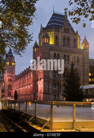 Ice Rink at the Natural history museum,  London Stock Photo