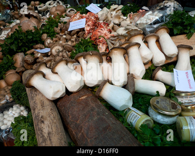 Fresh Japanese mushrooms for sale on a stall at Borough Market, London Bridge, London, England, UK  KATHY DEWITT Stock Photo