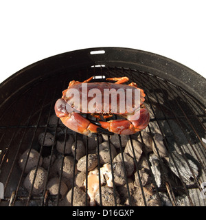 crab on charcoal grill Stock Photo